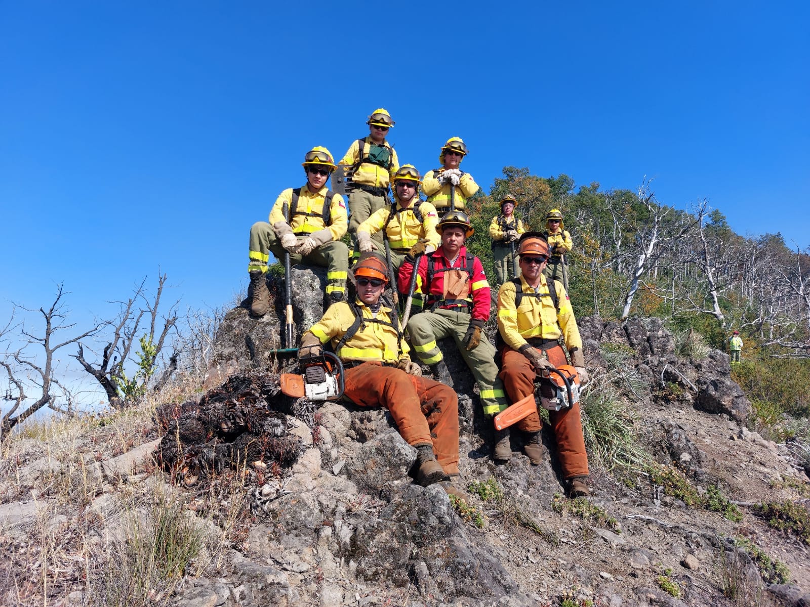 Brigada forestal SAFCO