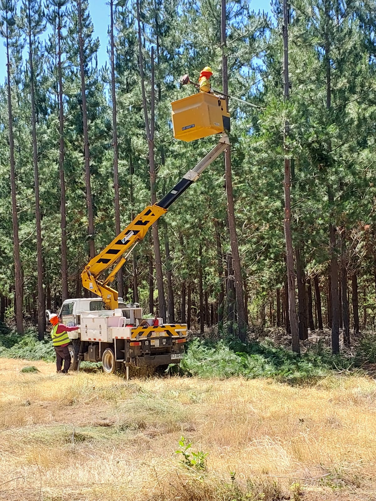 Mantención de líneas